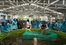 Kader PKK Air Mawar Belajar Olah Rumput Laut Jadi Minuman Jelly di SMKN 4