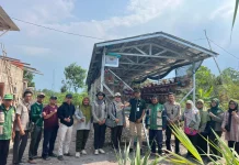Kelompok Ternak Putra Bangka Terima Bantuan 600 Ayam Petelur dari Kementan