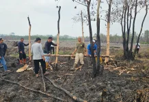 Kelurahan Binaan Lapas Pangkalpinang Jadi Pemantik Kolaborasi Cetak Sawah