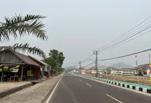 Asap Pekat Selimuti Belitung Timur, Warga Keluhkan Jarak Pandang Berkurang