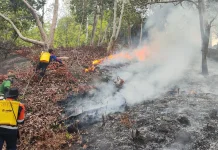 Kebakaran Lahan Gang Betung 1 Diduga Berawal dari Pembakaran Lahan