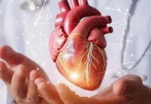 Pilih Makanan Sehat Demi Jantung Lebih Berkualitas