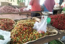 Musim Kemarau, Harga Cabai di Pasar Higienis Belum Turun