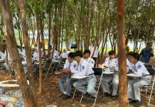 Pohon Pelawan Bantu Jaga Resapan Air