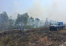 Karhutla Bangka Meluas, Ratusan Titik Api Bakar 688,7 Hektare