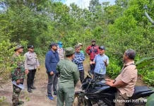 Ratusan Hektar Hutan Kritis di Bangka akan Diperbaiki