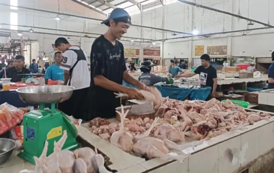 Harga Ayam Fluktuatif di Pasar Kite Sungailiat
