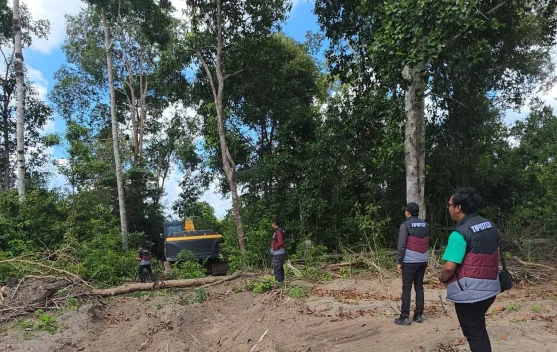Polda Babel Temukan Aktivitas Tambang Ilegal di Kawasan Hutan Produksi