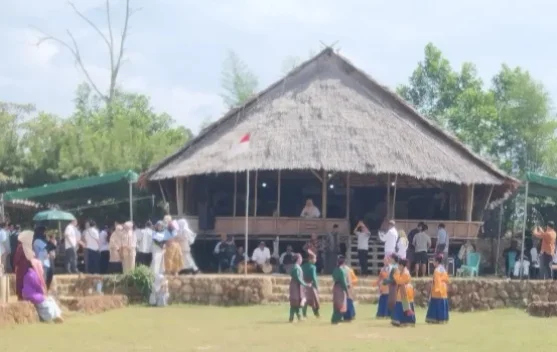 Masyarakat Air Abik Belinyu Gelar Adat Nuju Jerami