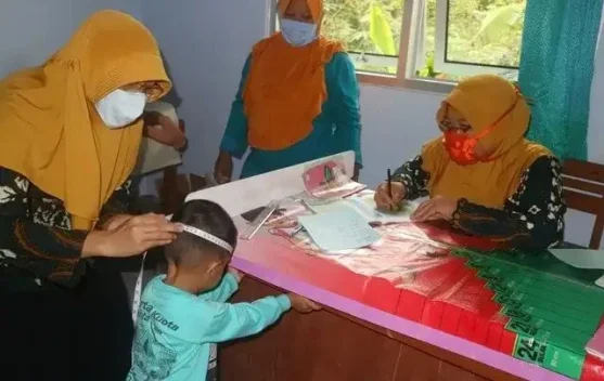 Sudah Integrasi Layanan Primer, Posyandu di Bangka Miliki Kader Wilayah