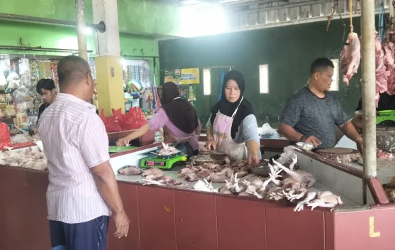 Harga Ayam Pasar Higienis Masih Normal jelang Iduladha 1447 Hijriah