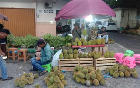 Musim Durian Tiba, Pedagang Musiman Mulai Penuhi Pasar Atas Sungailiat