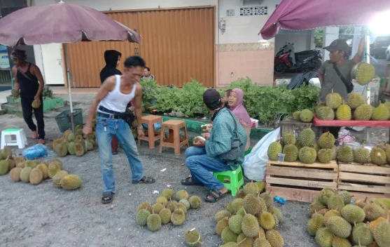 Puncak Musim Durian di Bangka Dua Pekan Lagi