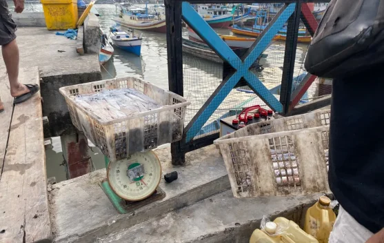 Kenaikan Beberapa Harga Komoditas, Babel Alami Inflasi 2,46% pada Mei 2026