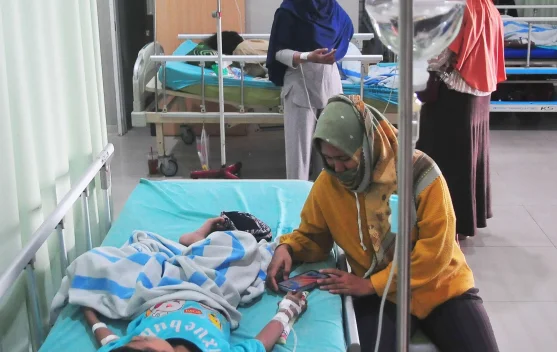 Kasus DBD di Bangka Tembus 102 Kasus