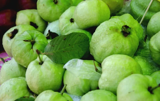 Pedagang Buah, Ellen: Permintaan Jambu Biji Meningkat
