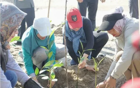 Hari Lingkungan Hidup Sedunia, GOW Bateng Tanam Mangrove & Pungut Sampah