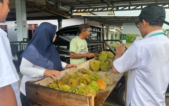 Wisata Durian di Desa Teruk Bangka Tengah