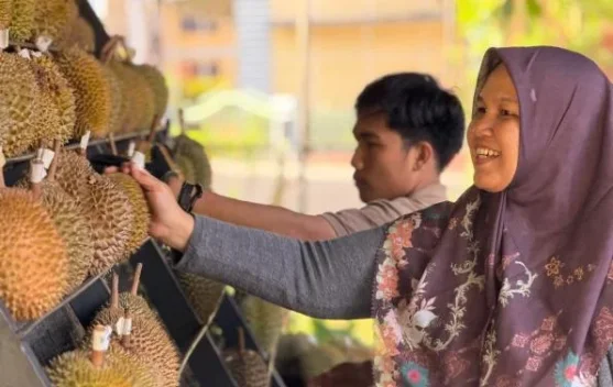 Pemprov Babel Gelar Kontes Durian Lokal 9 Juli di Pelangas