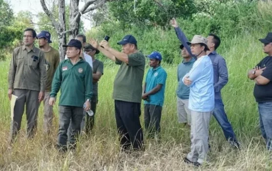 Desa Batu Beriga Dijadikan Sentra Perkebunan Kelapa
