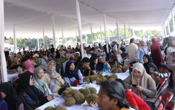15 Ribu Durian Kelekak Dihabiskan Ribuan Warga Babel di Yogyakarta