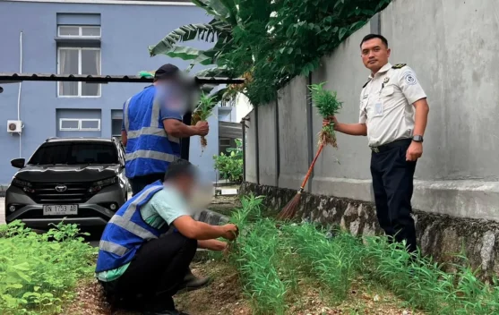Bapas Tanjungpandan Libatkan Klien Kelola Lahan Tidur untuk Ketahanan Pangan