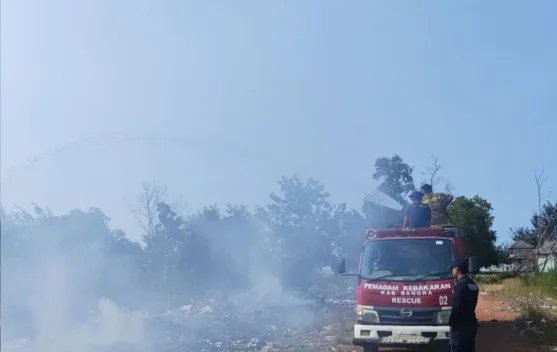 Damkar Bangka Padamkan Kebakaran Hutan dan Lahan di Pantai Matras dalam Satu Jam