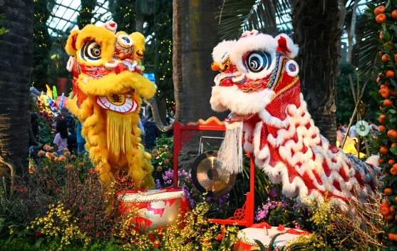 Barongsai, Tarian Tradisional Tiongkok Mendunia