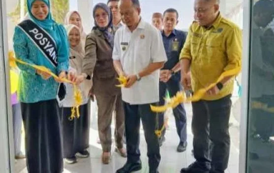 Bupati Algafry Resmikan "Posyandu Sakura", Hasil Kolaborasi Pemkab-Arsari Tambang