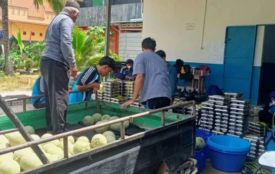 KDMP Belo Sediakan Kebutuhan SPPG Ketap