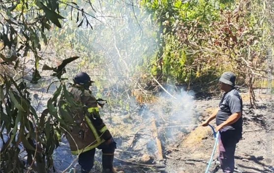 Tim Damkar Bangka Berhasil Tangani 10 Kebakaran dalam Sehari