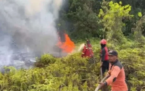 Puncak Kemarau Diprediksi Agustus-September