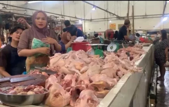 Harga Ayam di Sungailiat Tembus Rp36 Ribu, Pedagang Keluhkan Kenaikan