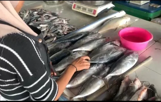 Harga Ikan di Pasar Higienis Air Ruai Naik Rp5- Rp15 per kg
