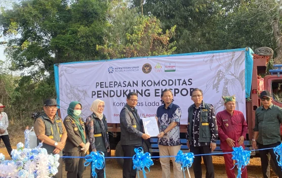 Holding UMKM Lada Putih Muntok Resmi Jalan, PT CAN Jadi Operator