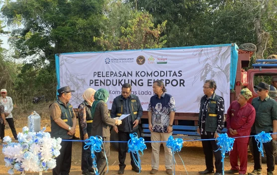 1.300 Petani Lada di Babel Dapat Kepastian Pasar dan Akses Pembiayaan