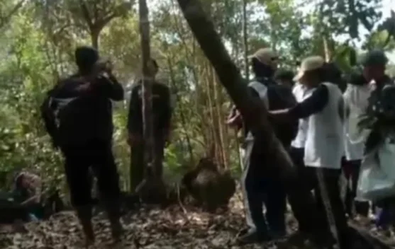 Sahabat Alam: Dari Hutan, Kita Belajar Keseimbangan