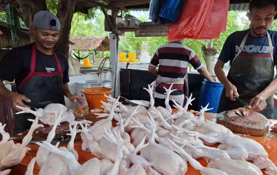 IPH Bangka Tengah Alami Kenaikan imbas Lonjakan Harga Ayam