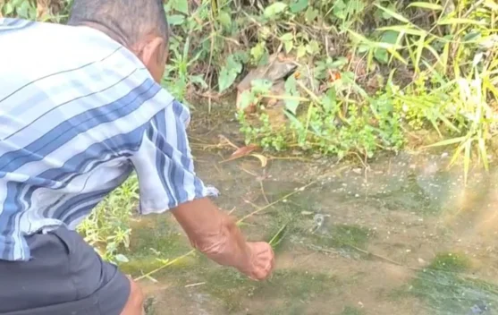 Sungai Surut, Lumut Hijau Jadi Umpan Jitu Pemancing Bangka