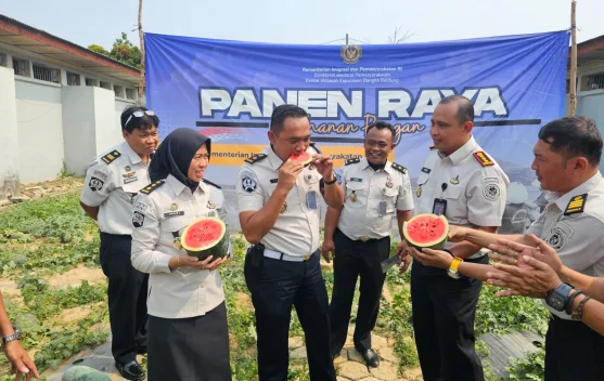 Lapas Pangkalpinang Panen Raya 518 Kg Citrullus Lanatus