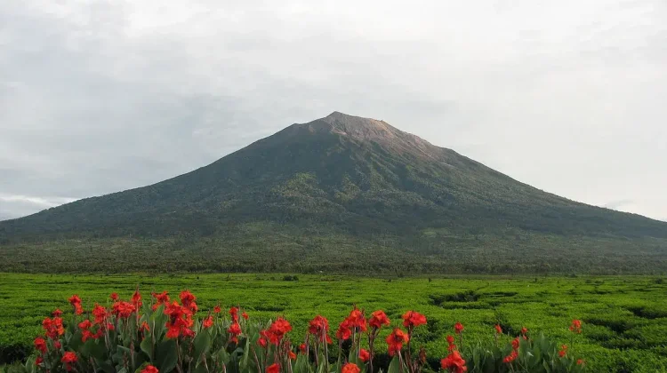 Usai Ditutup Sebulan, Pendakian Gunung Kerinci Kembali Ramai