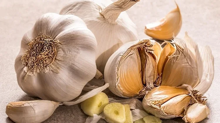 Bukan Sekadar Bumbu Dapur, Ini 6 Rahasia Kesehatan di Balik Bawang Putih