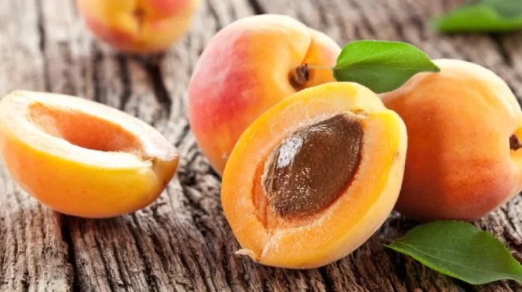 Apricot: Sibuah Oranye Kaya Manfaat untuk Kesehatan