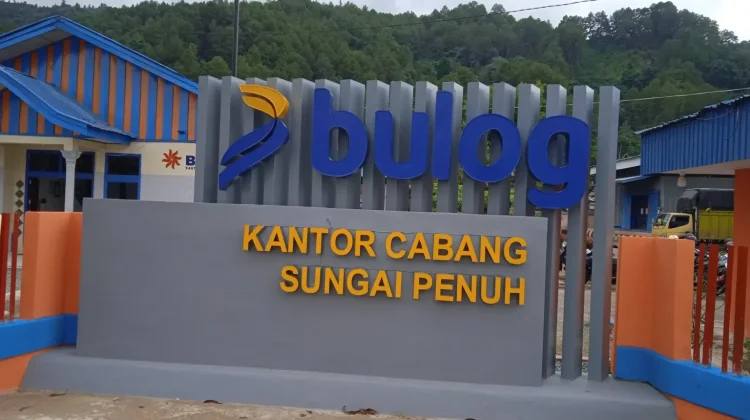 Bulog Sungai Penuh Optimistis Serapan Gabah Petani Terus Meningkat