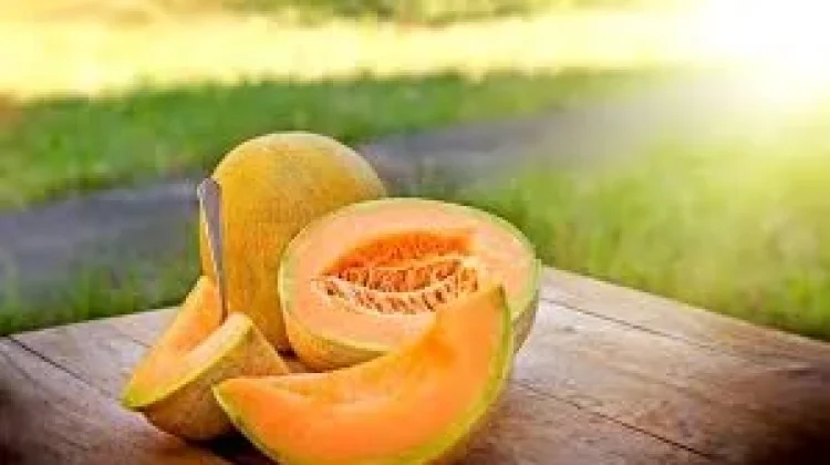 Hati-hati Bahaya Listeria pada Buah Impor