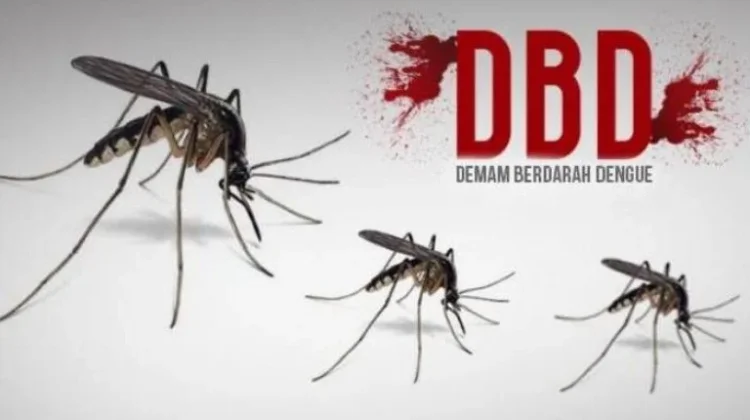 DBD Masih Mengintai Kabupaten Kerinci, Dinkes Catat 33 Kasus