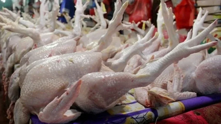 Rumah Potong Ayam Bersertifikat Halal di Mamuju Masih Terbatas