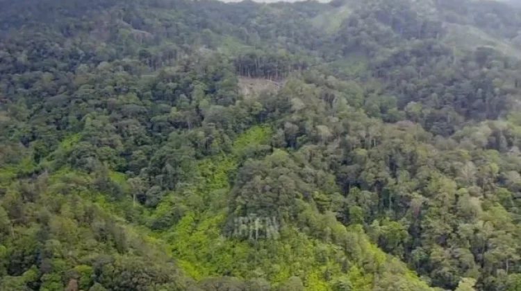 Balai TNKS Hanya Miliki 200 Personel, Pengawasan Kawasan Hutan Jadi Tantangan