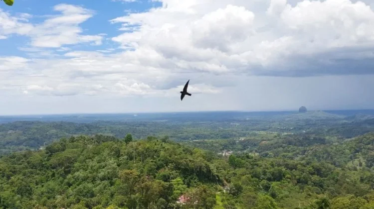 Hutan TNKS Terancam,Balai Besar Ungkap Kerusakan Capai 7,36 Persen