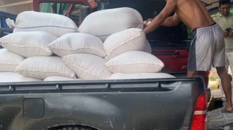 Perum Bulog Mulai Serap Hasil Produksi Jagung di Merangin